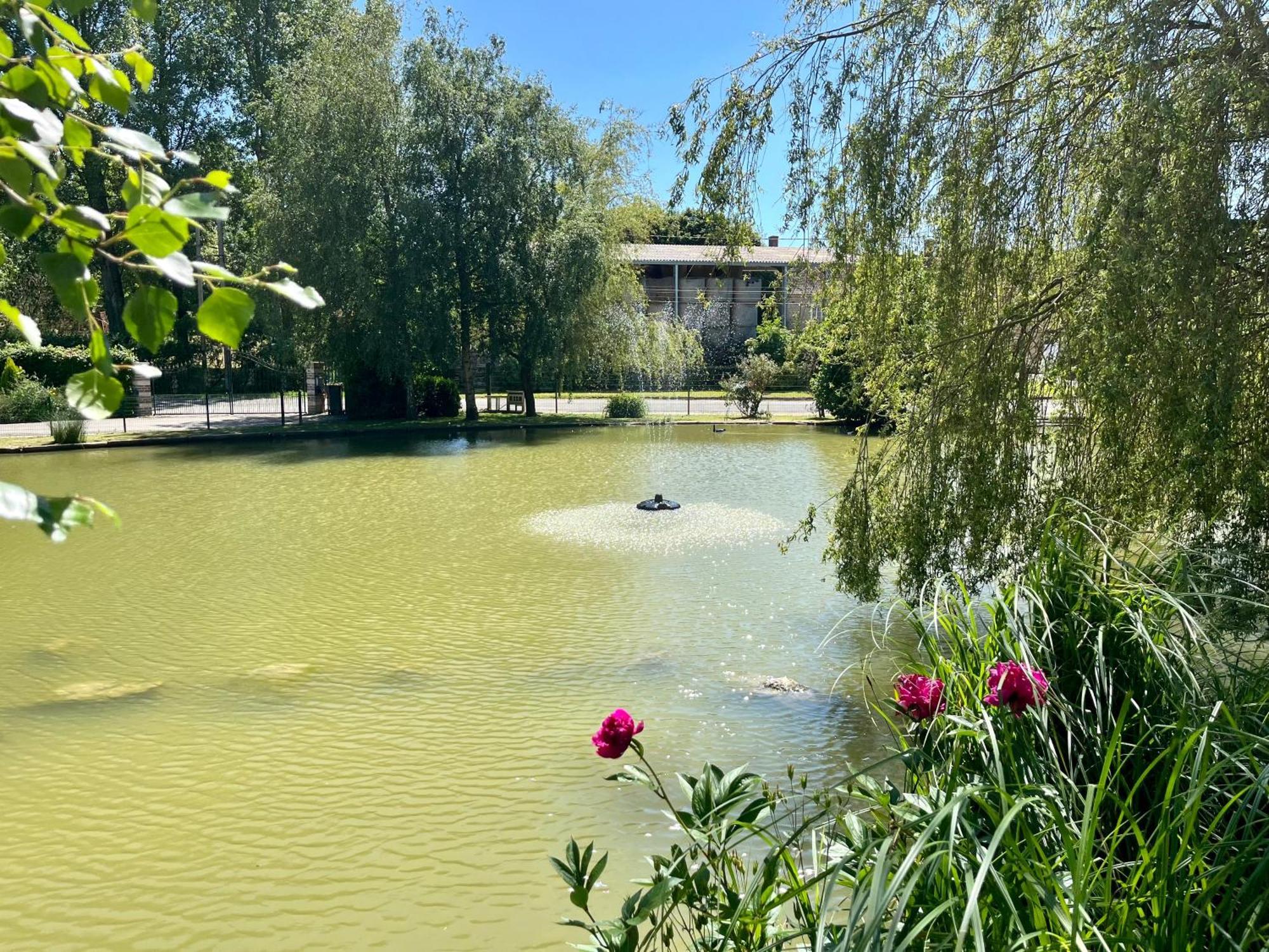 L'Etang D'Une Pause Samer Esterno foto